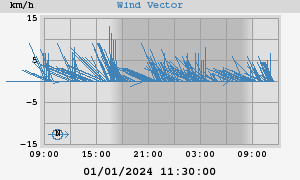 Wind Vector