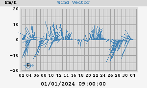 Wind Vector