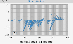 Wind Vector