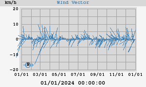 Wind Vector